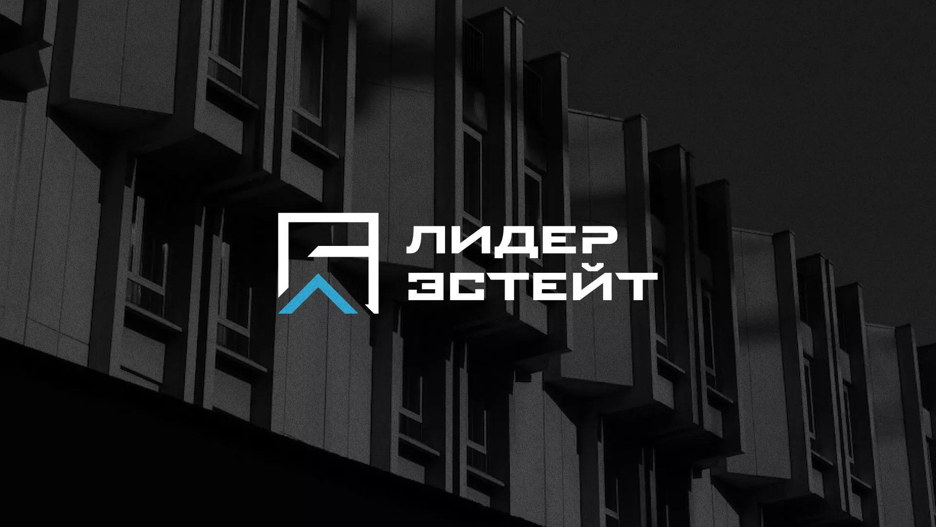 Разработка логотипа агентства недвижимости «Лидер Эстейт» в Ипатово