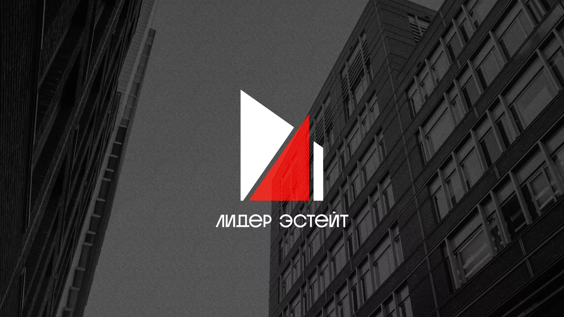 Сделали логотип для агентства недвижимости «Лидер Эстейт» в Ипатово